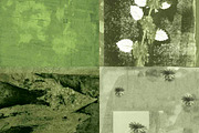 Botanical Painted Papers, a Pattern Graphic by Liz Plummer (Thumbnail 3 of 5)