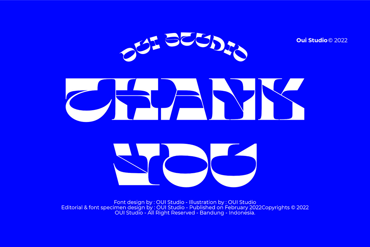 Faizz Display Font, a Font by Oui Studio (Photo 10 of 10)