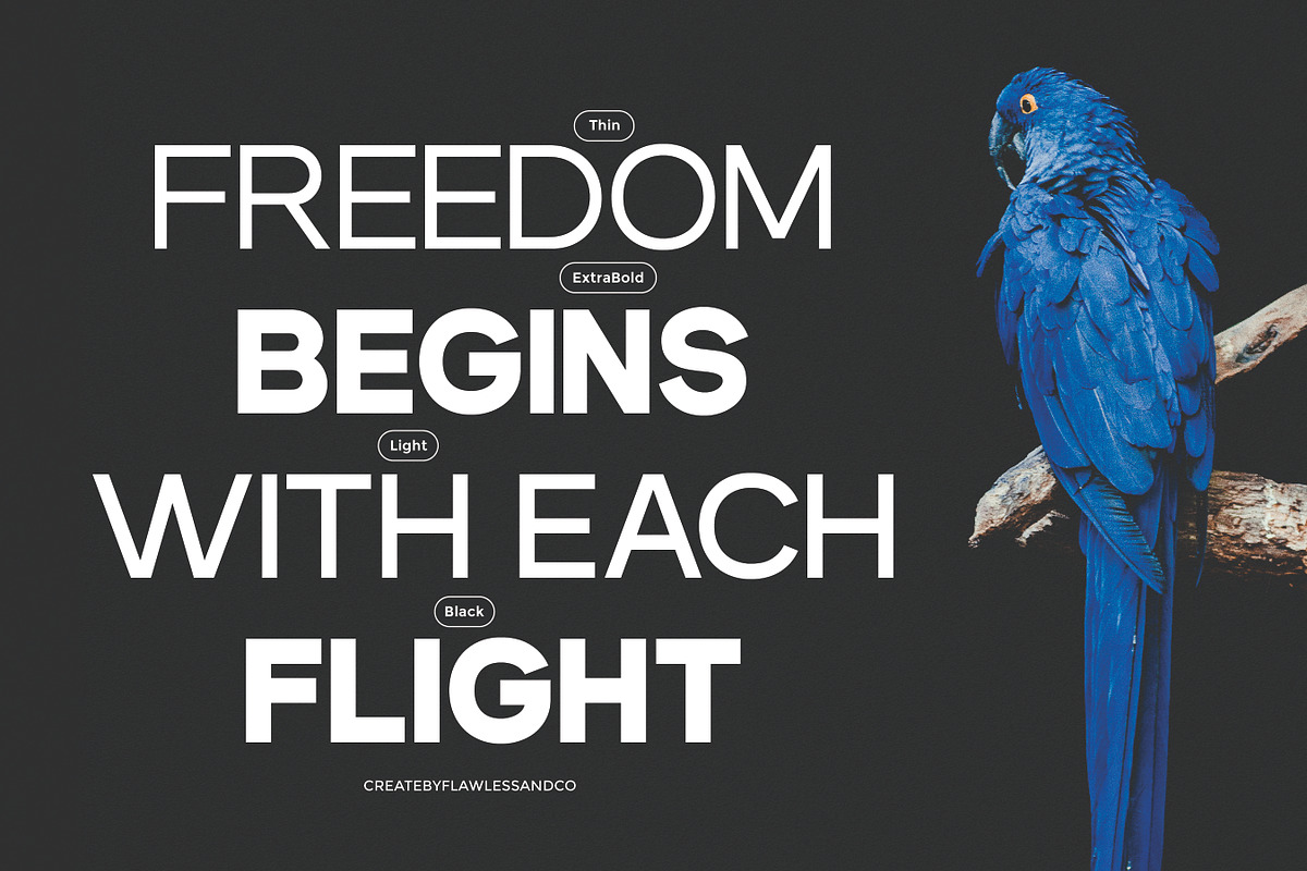 Dectone - Family Sans Serif Font, a Sans Serif Font by Flawless And Co (Photo 2 of 10)