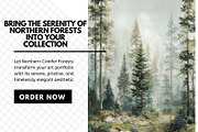 30+ Northern Conifer Forests Bundle, a Decorative Illustration by Virgo Studio (Thumbnail 6 of 6)