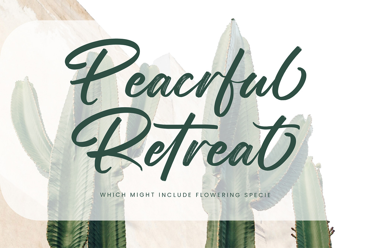 Straight Pathart Modern Brush Font, a Script Font by stylishtype.co (Photo 14 of 20)