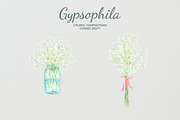 Watercolor Gypsophila Baby's Breath, an Illustration by Corner Croft (Thumbnail 3 of 7)
