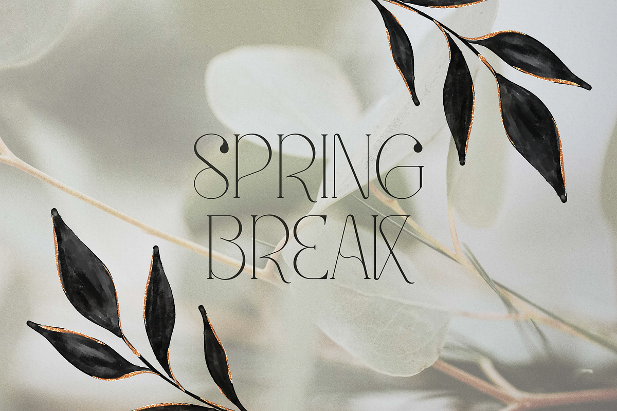 Meraki display font + more, a Serif Font by VP Fonts (Photo 15 of 22)