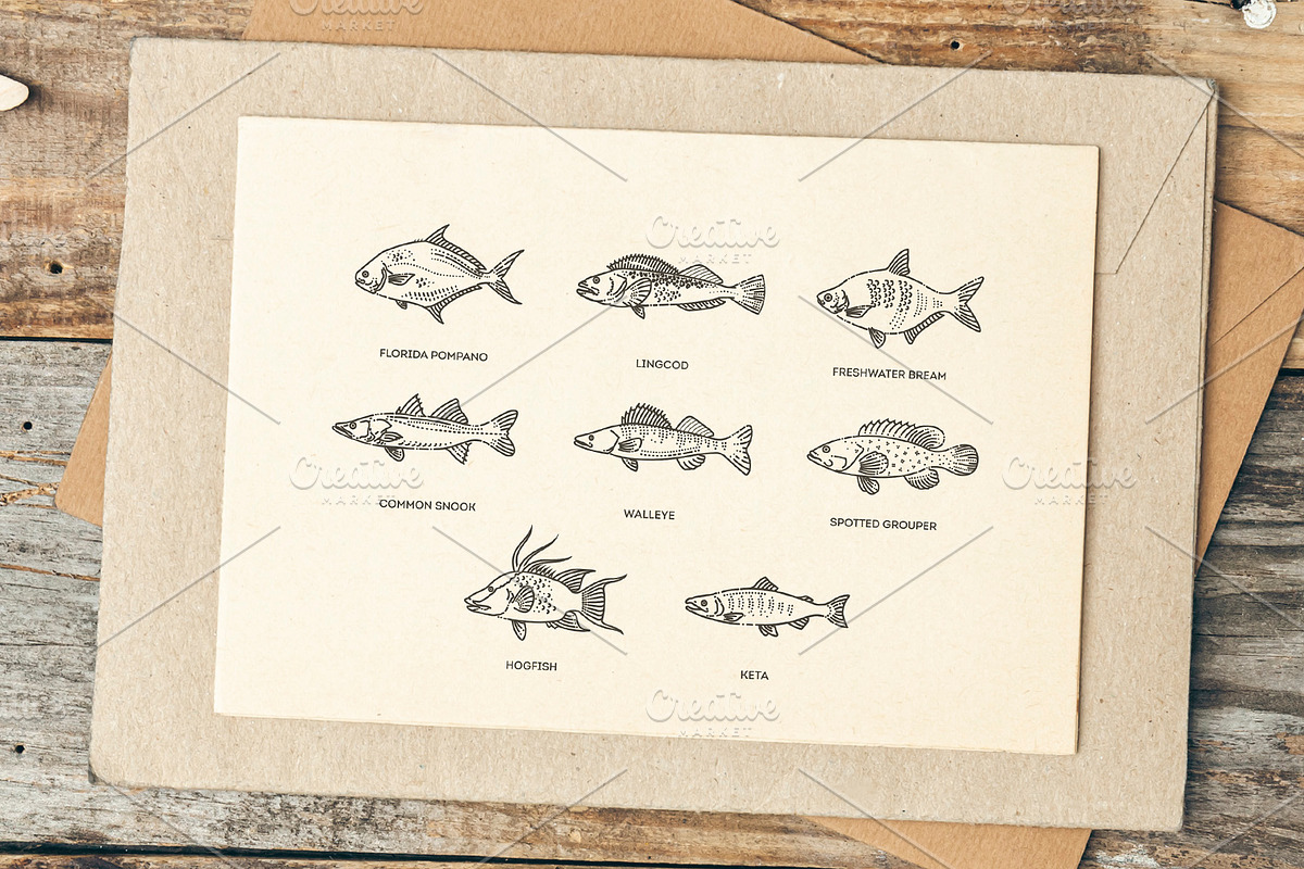 Set of vector outline fish icons, an Animal Illustration by Tettygreen (Photo 3 of 3)
