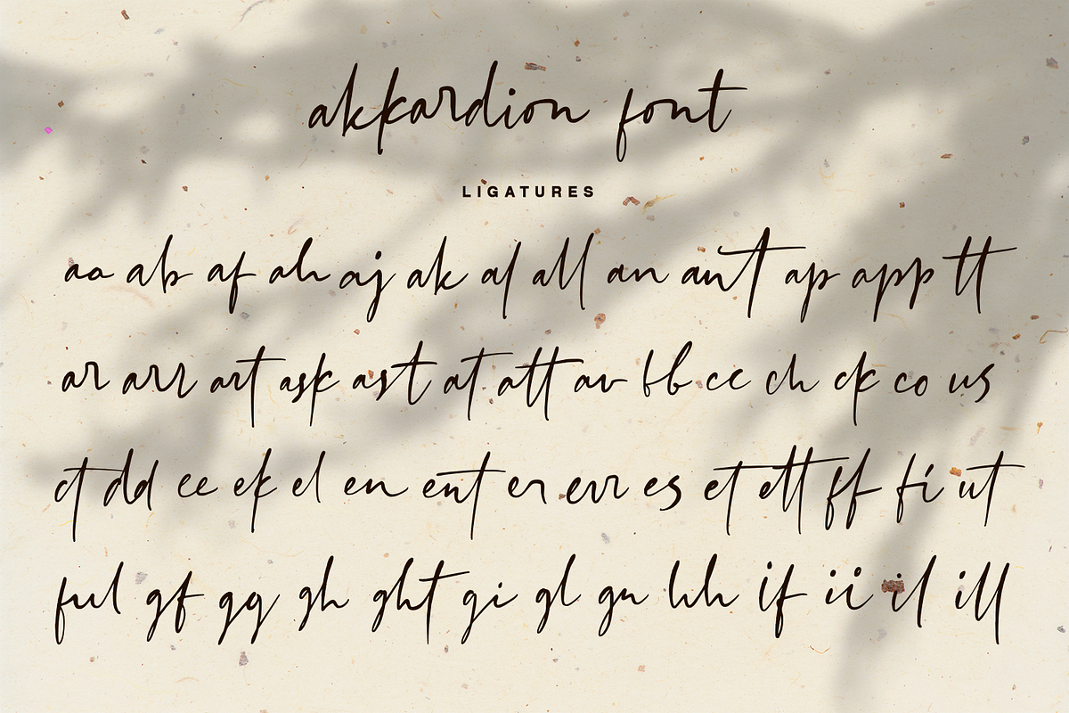 akkardion handwritten font, a Script Font by Quothron (Photo 9 of 10)