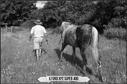 Ilford Films LUTs, a Plug-in Add-On by Raztrend (Thumbnail 16 of 30)