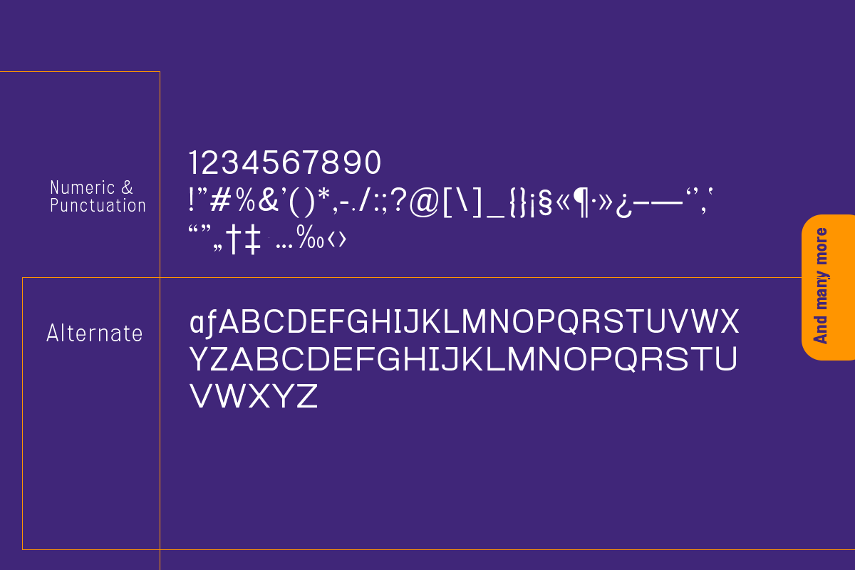 Esenka, a Sans Serif Font by Differentialtype (Photo 8 of 12)