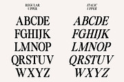 Classic Moment | Retro Typeface, a Serif Font by Muntab_Art (Thumbnail 11 of 13)