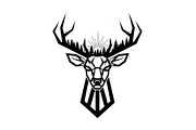 Artistic Geometric Deer Head Bundle, an Illustration by yasushie (Thumbnail 29 of 31)
