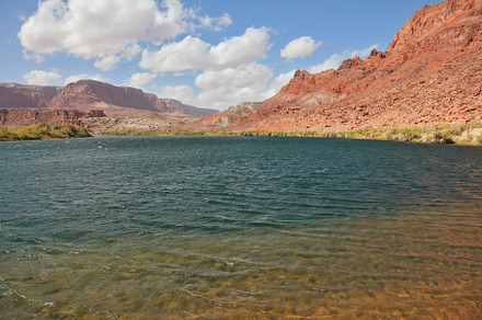 Cold  water of the Colorado River, a Photo by kavram