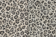 Realistic Snow Leopard Fur Texture, a Pattern Graphic by Artonix (Thumbnail 3 of 3)