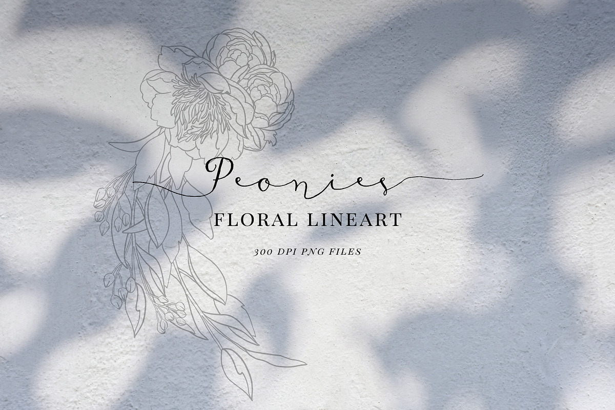 Floral line art in black, Peony, an Illustration by Personal Epiphany (Photo 1 of 5)