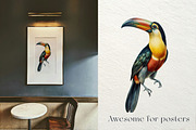 Tropical rainforest clip art set, a Seasonal Illustration by FleurArt (Thumbnail 8 of 12)