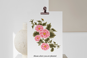 WARMY BLOOMS - Whimsy Summer Florals, an Object Graphic by Artflorara (Thumbnail 4 of 12)