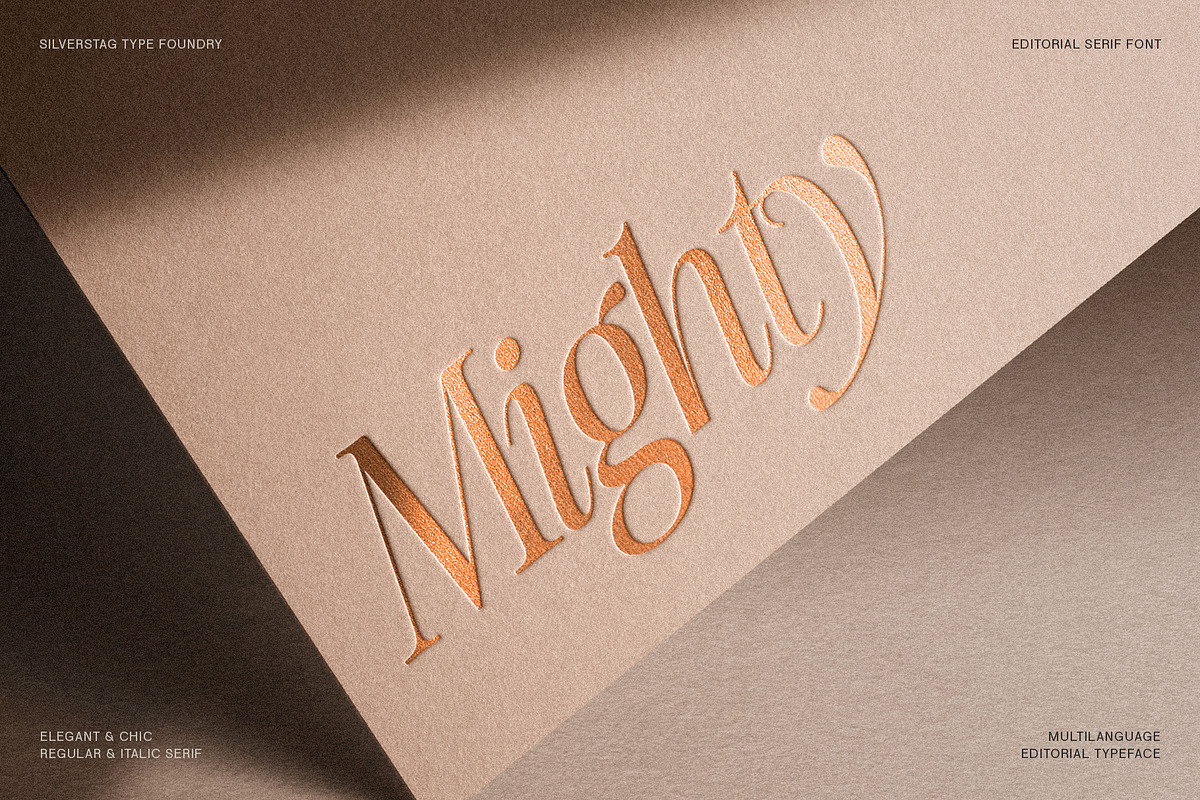 The Silver Editorial Serif Font, a Serif Font by SilverStag Type Foundry (Photo 13 of 25)