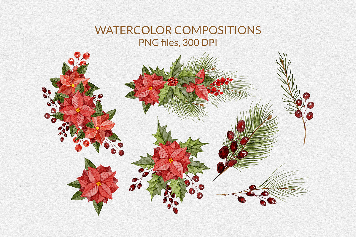 Christmas Florals, Poinsettia, an Object Graphic by ilonitta (Photo 5 of 18)