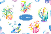 Hello SEA - watercolor collection, an Illustration by Kseniya_design (Thumbnail 5 of 11)