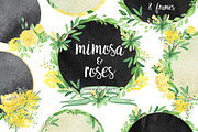-50% Mimosa & roses flowers, an Illustration by LABFcreations (Thumbnail 4 of 8)