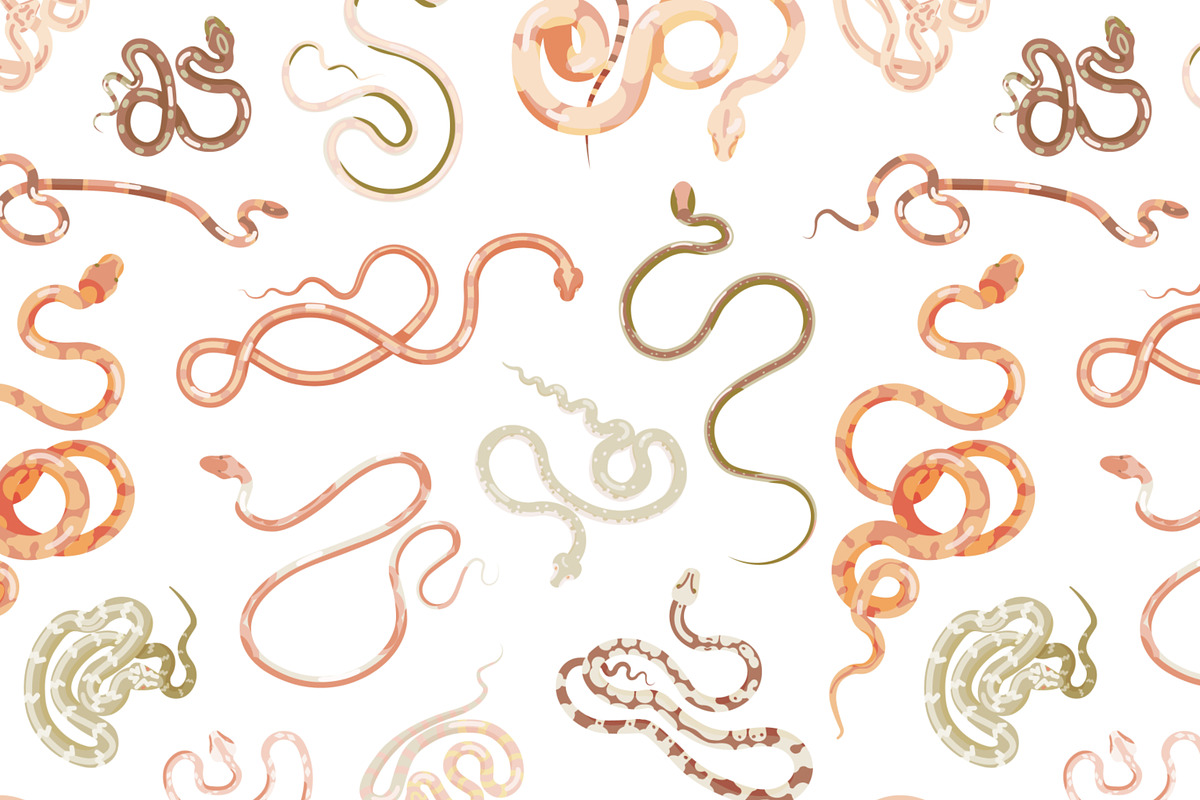 Snakes set and seamless, an Animal Illustration by Good Studio (Photo 7 of 10)