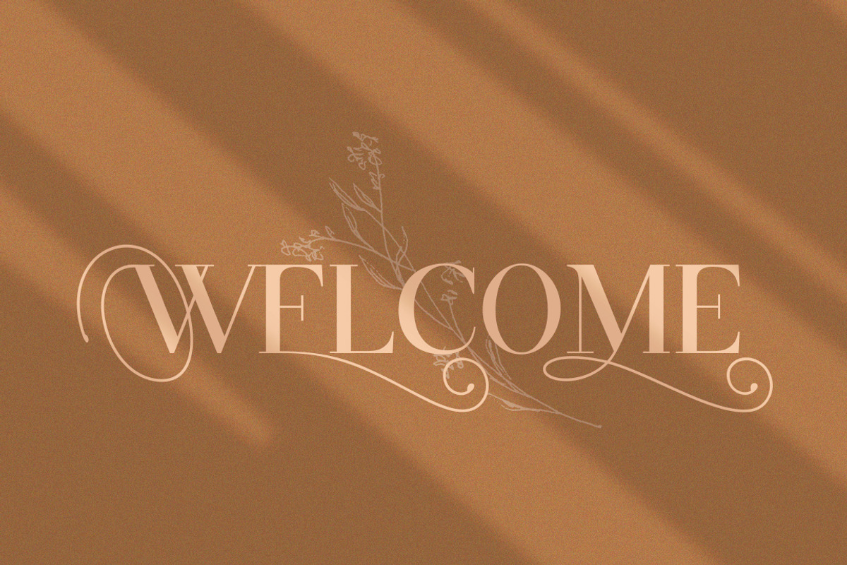 Oliva Serif Font preview 5