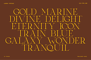 Laxura – Elegant Ligature Serif Font, a Serif Font by CCS Type (Thumbnail 11 of 16)