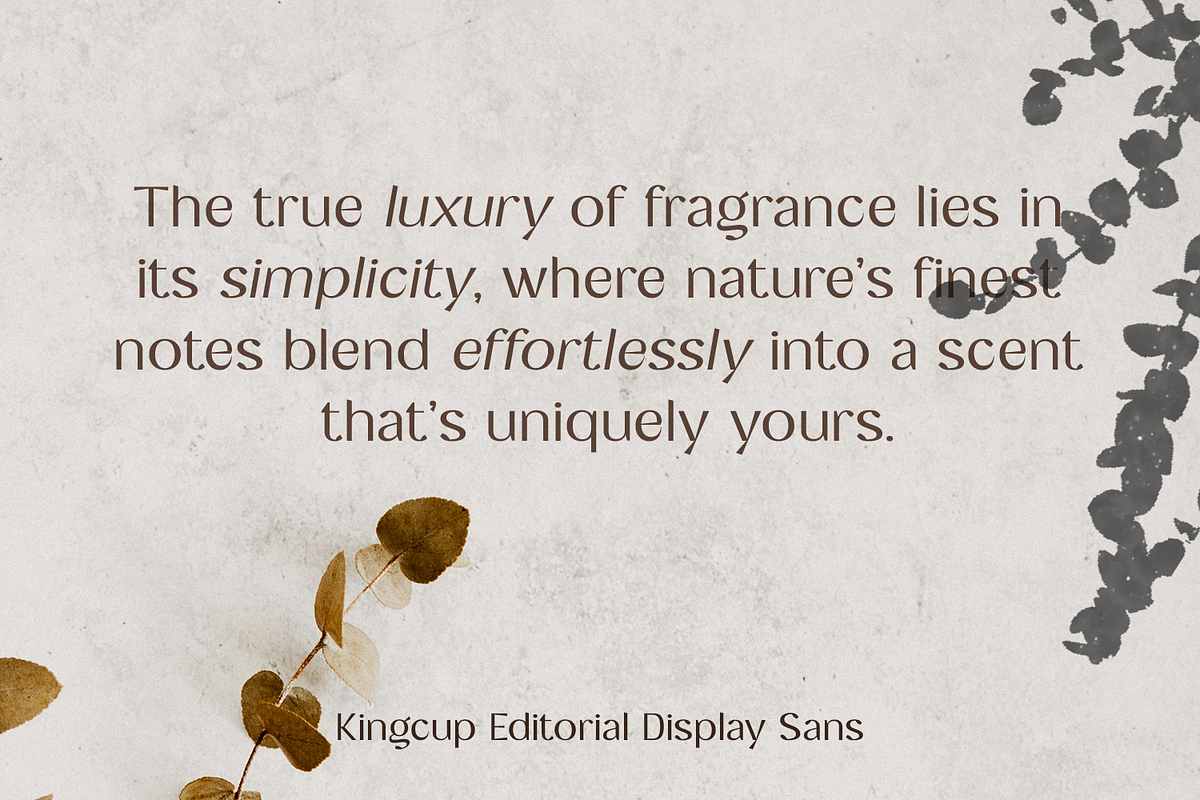 Kingcup - Editorial Display Sans, a Sans Serif Font by Fridaytype (Photo 7 of 13)