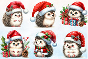 Watercolor Cute Christmas Hedgehog, a Seasonal Illustration by Rose Art (Thumbnail 2 of 6)