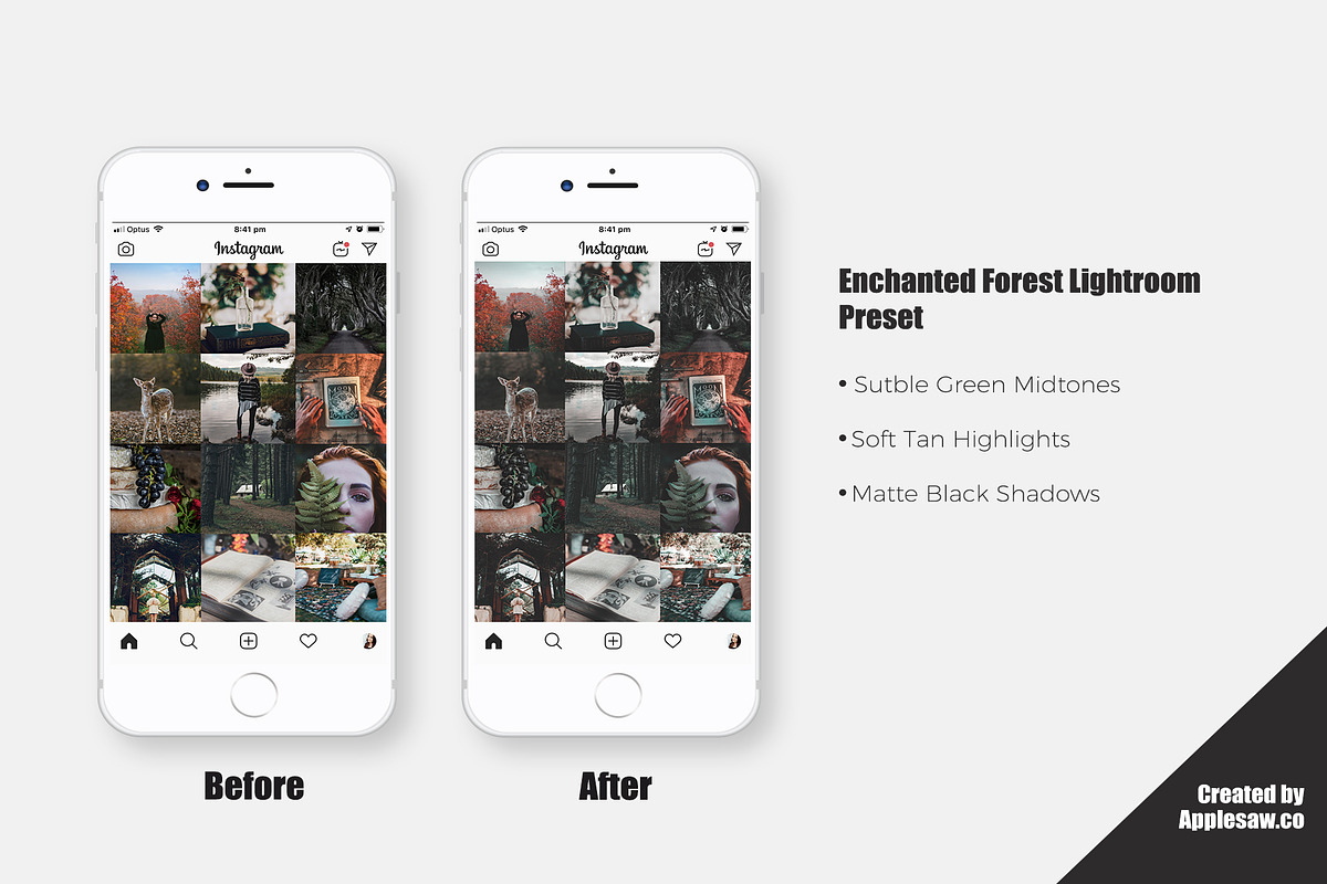 Enchanted Forest Lightroom Presets, a Plug-in Add-On by Applesaw.co (Photo 4 of 4)