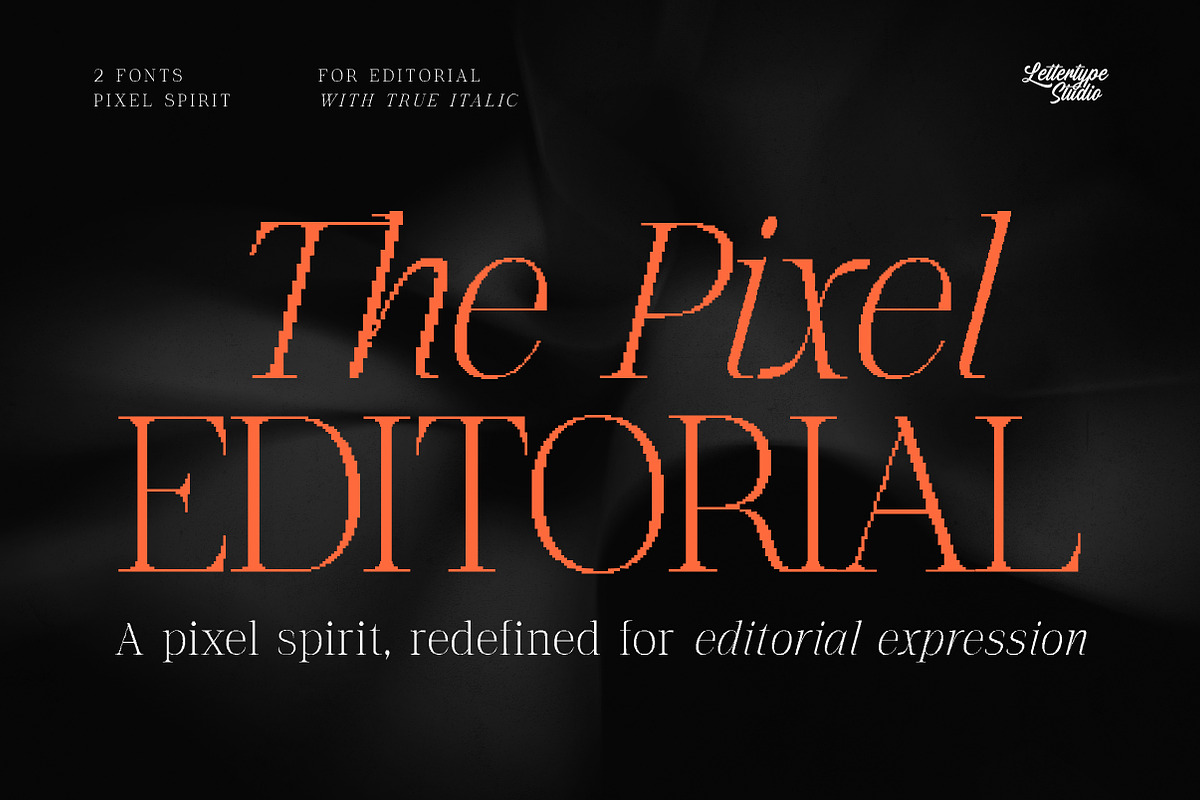 The Pixel Editorial – Modern Serif, a Sans Serif Font by Lettertype Studio (Photo 1 of 15)