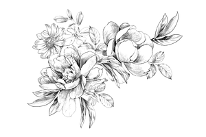 Hand Sketched Peonies