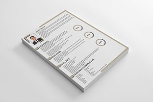 Clean Corporate Resume