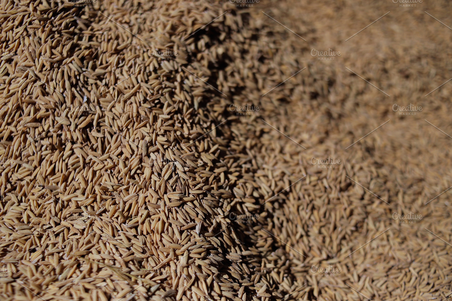 Close-up of rice texture (grain), a Food & Drink Photo by bastera