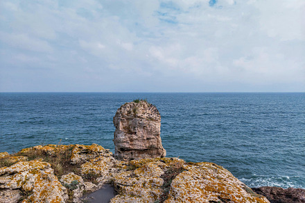 Breaking waves on the rocky coast of, a Nature Photo by verkelis