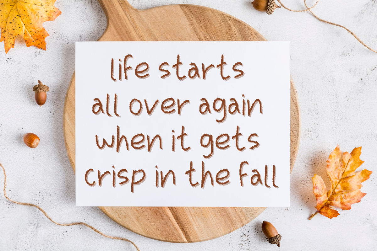 Autumn - A Handwritten Font, a Handwritten Font by ChiraaDesign (Photo 3 of 6)