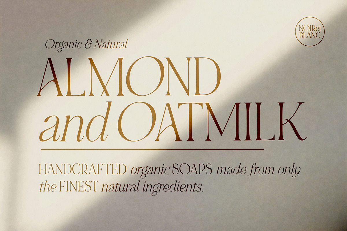 NOIR et BLANC Stylish Serif, a Serif Font by Nicky Laatz (Photo 9 of 41)