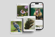 Instagram Carousel Mockup, an Advertising Mockup by MA-KING_ART (Thumbnail 3 of 3)