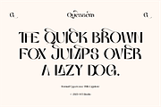 Quessera Font, a Sans Serif Font by Oui Studio (Thumbnail 9 of 21)