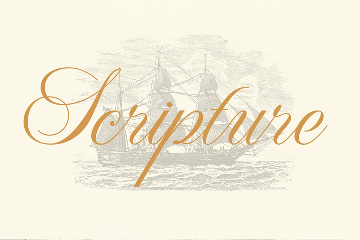 WT Hilton Script, a Font by Winston Type Co. (Photo 5 of 9)