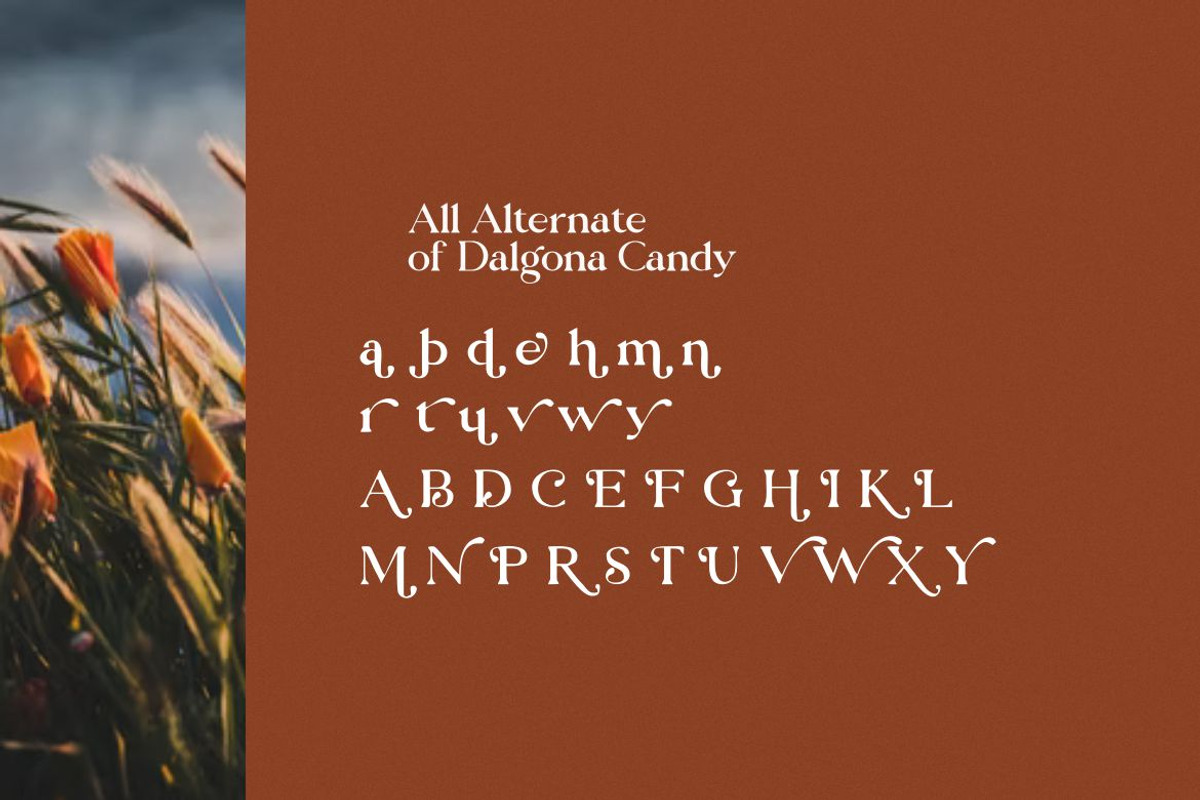 Dalgona Candy Modern/Vintage Font, a Serif Font by Typegoals Studio (Photo 7 of 8)