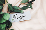 Blonde, a Script Font by Larin Type Co. (Thumbnail 2 of 8)