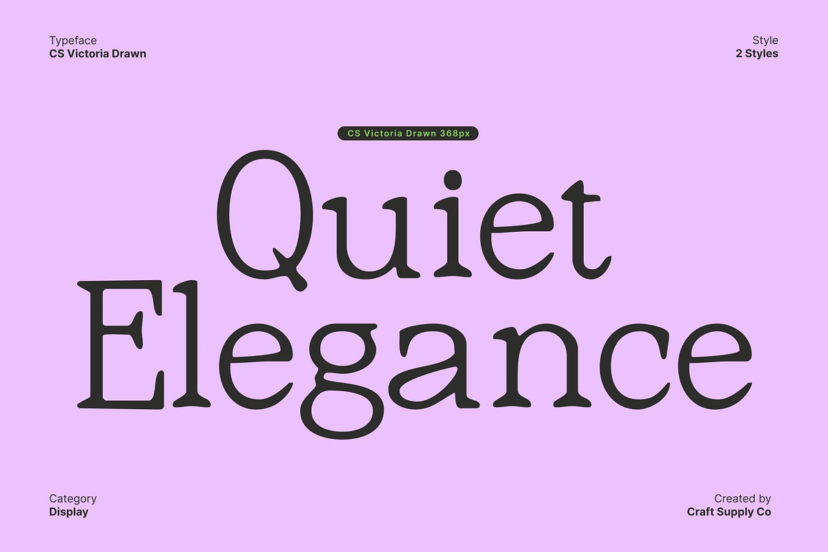 CS Victoria Drawn, a Serif Font by Craft Supply Co. (Photo 4 of 8)