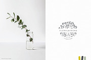 Ink botanicals, logos & patterns, a Texture Illustration by Lisa Glanz (Thumbnail 19 of 32)