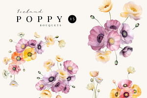 ICELAND POPPY - Watercolor Graphics