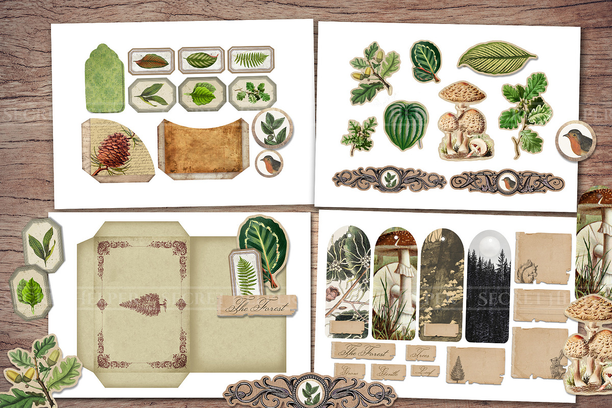 Forest Scrapbooking Kit, an Animal Illustration by Secret Helper (Photo 4 of 9)