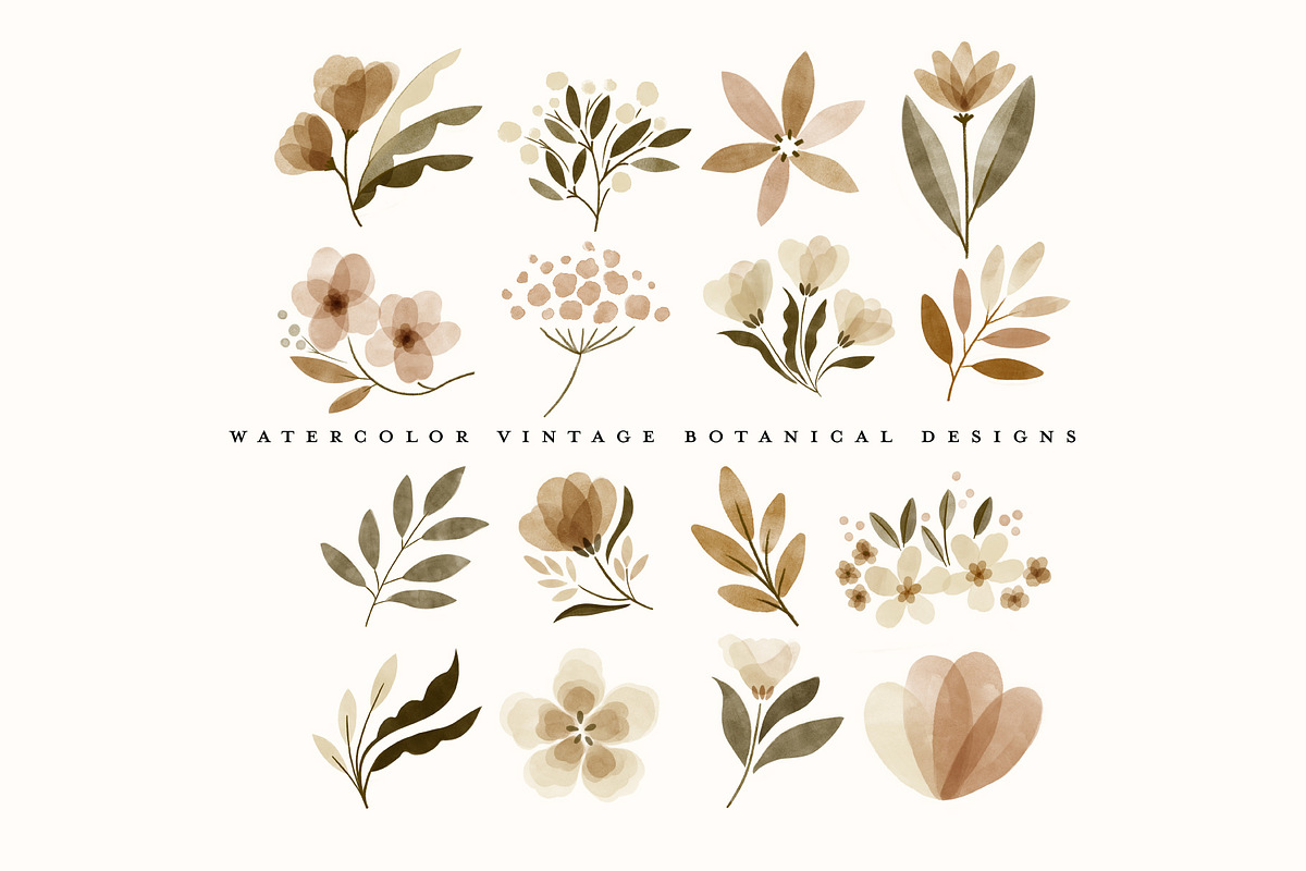 watercolor vintage botanical flowers, an Illustration by beatriceviyiwi (Photo 6 of 10)