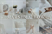 50+ Winter Lightroom Preset Bundle, a Preset Add-On by TheWayfarerShoppe (Thumbnail 6 of 9)