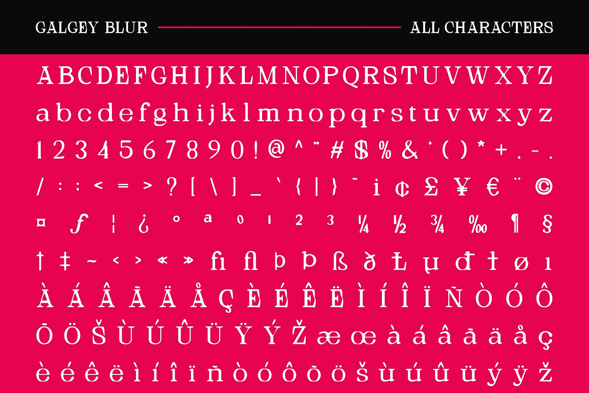 Galgey Blur, a Serif Font by Craft Supply Co. (Photo 8 of 8)