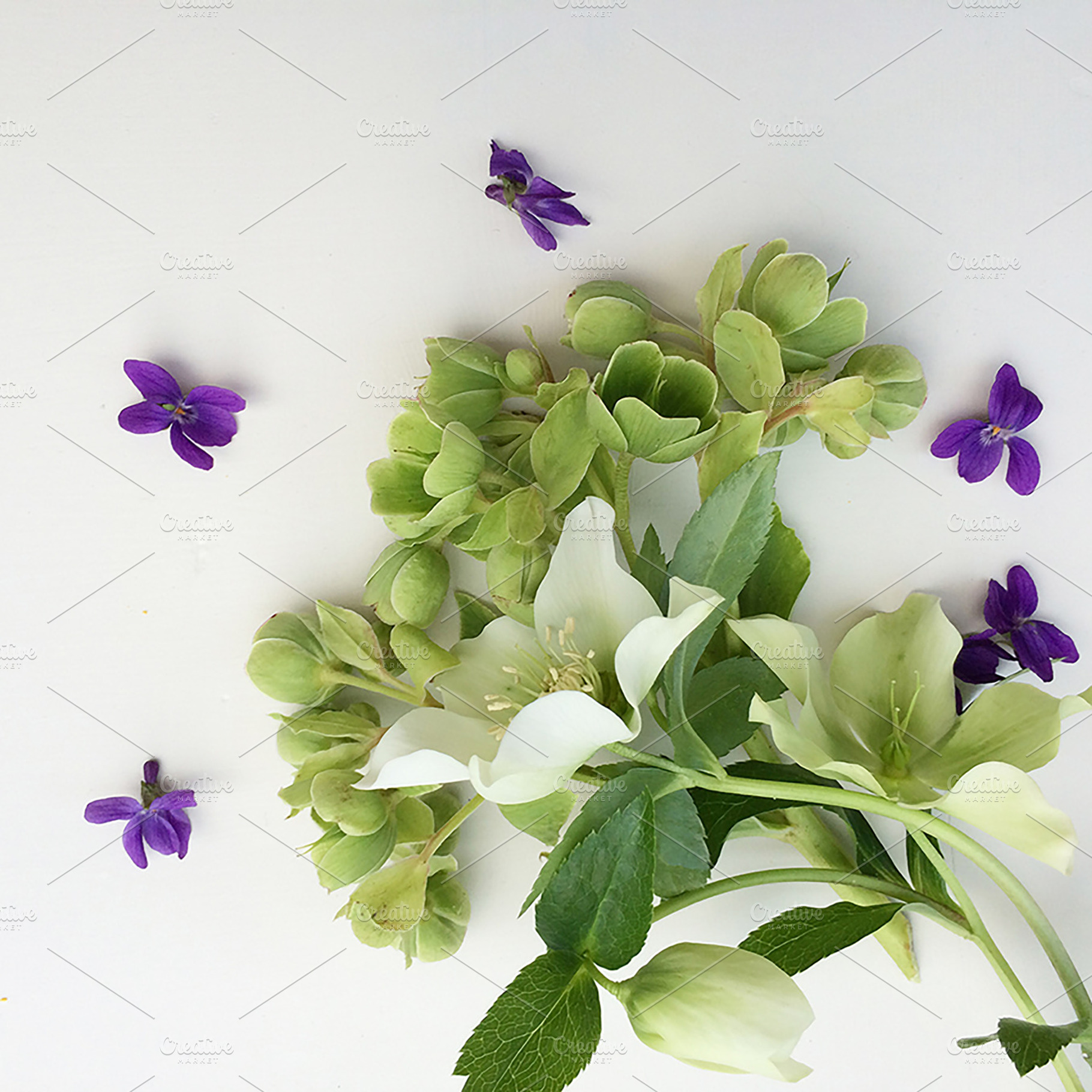 Styled stock photo  spring flowers featuring styled stock, photograph, and, a Business Photo by Pepperbelle Tinkers