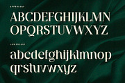 Ventura - Serif Font, a Serif Font by Alpaprana (Thumbnail 8 of 10)