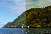 Wayward Lightroom Presets, a Brushes & More by Cactus Country (Thumbnail 3 of 11)